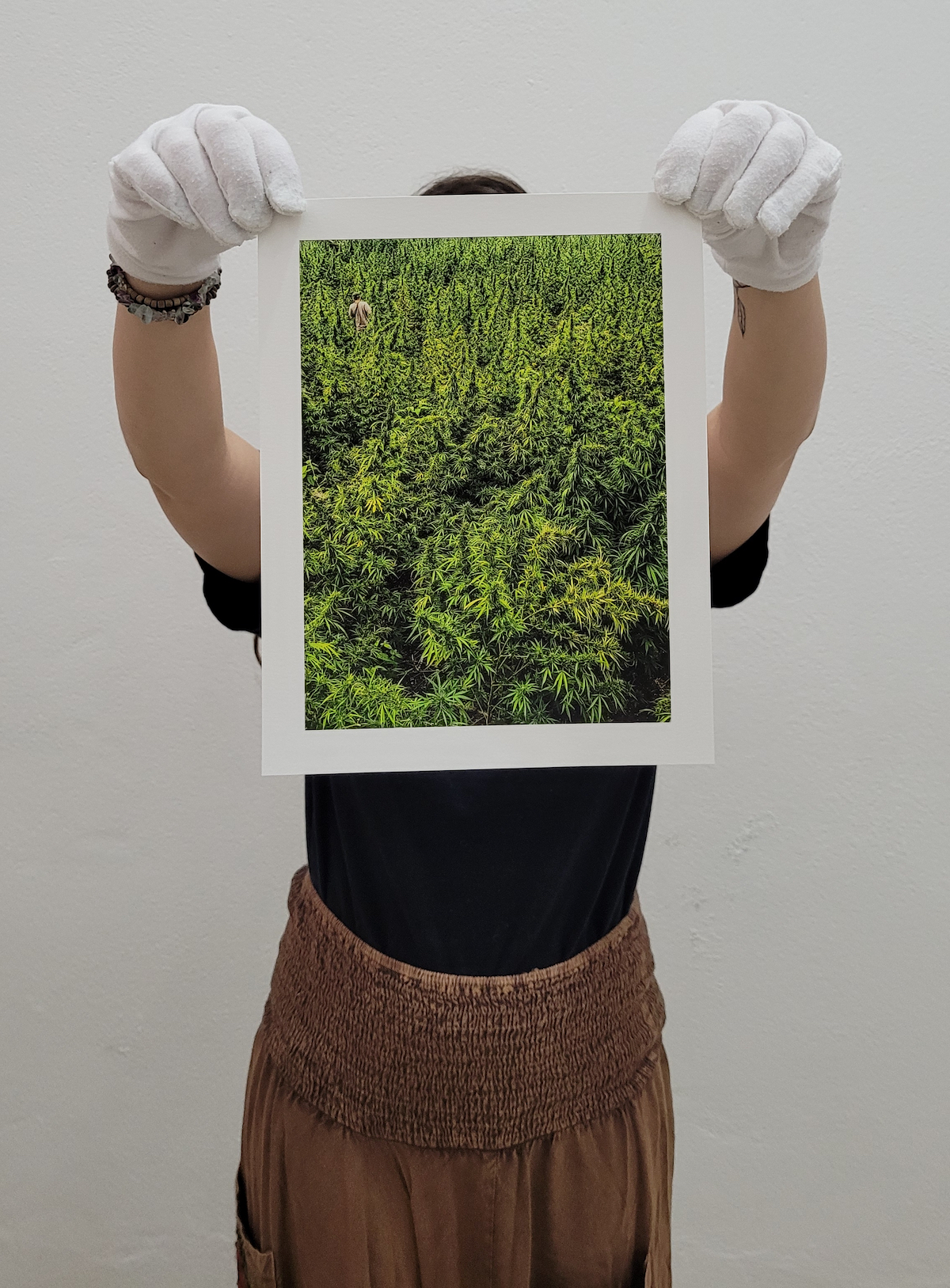 Fine Art Print de "O Apanhador nos campos de prensado" fotografia de Matias Maxx que faz parte da reportagem "Como Nasce o Prensado?" da série "De Ponta a Ponta"