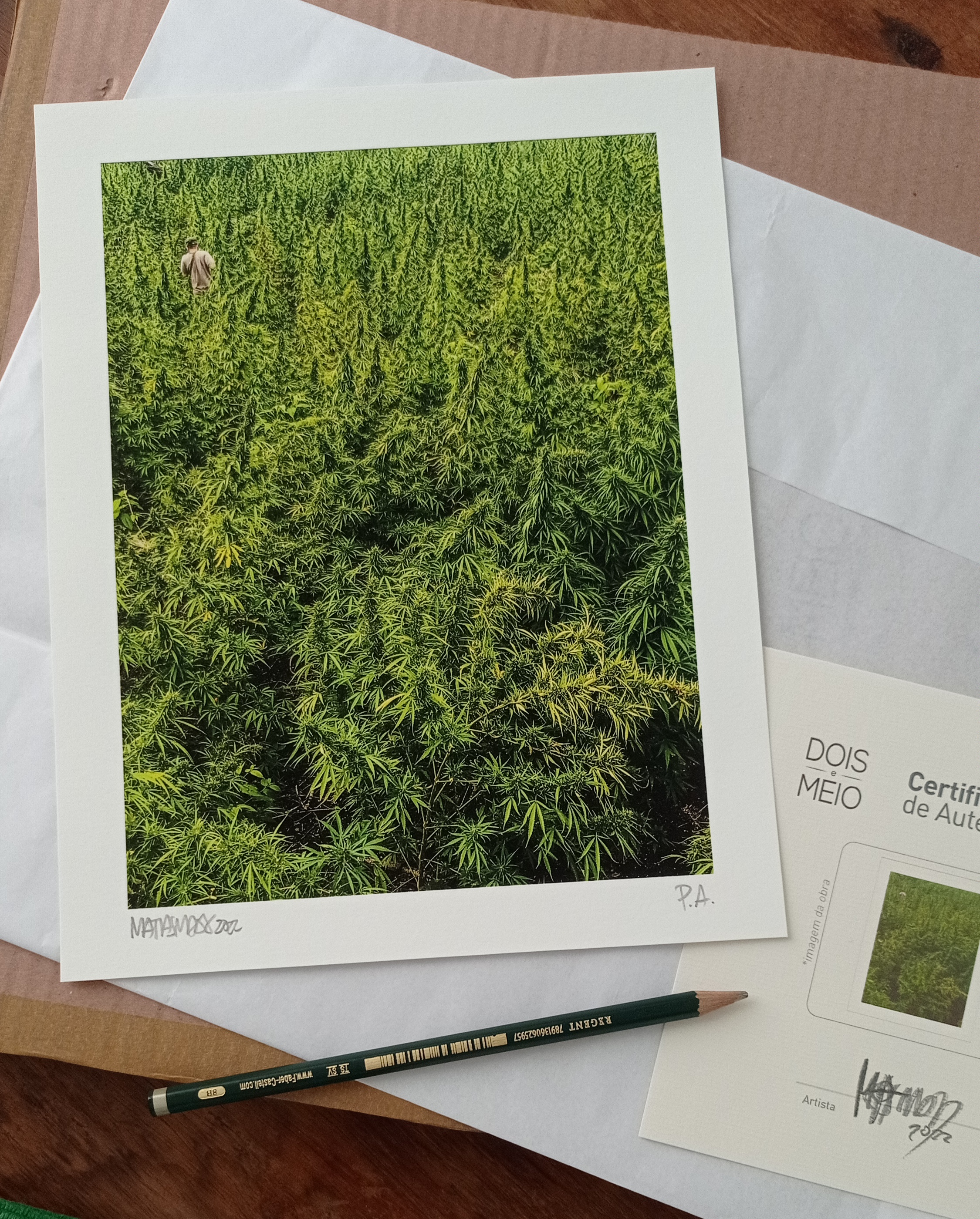 Fine Art Print de "O Apanhador nos campos de prensado" fotografia de Matias Maxx que faz parte da reportagem "Como Nasce o Prensado?" da série "De Ponta a Ponta"